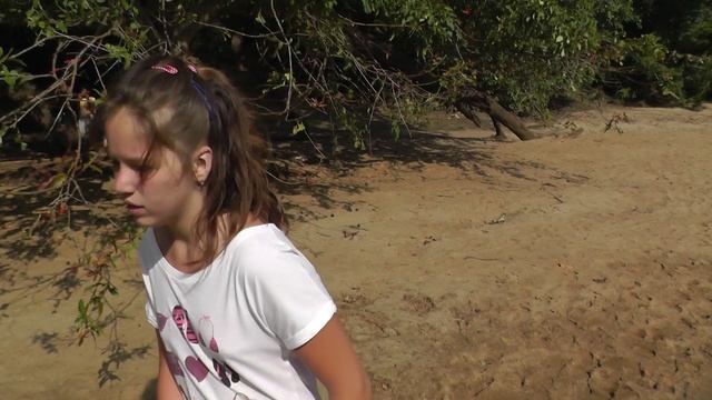 Шри Ланка Парк Яла.mp4