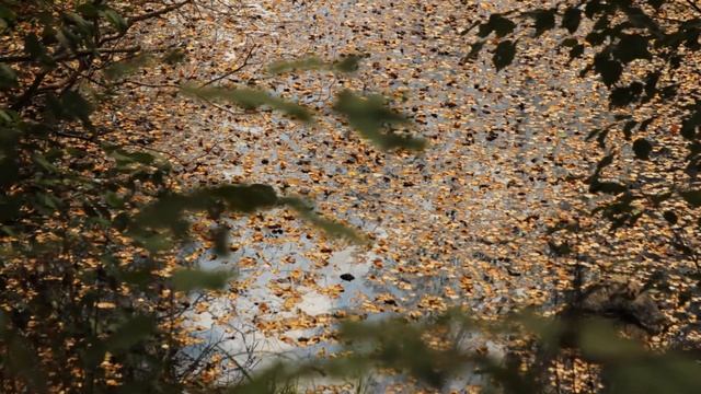 Золотая осень на Карьере смотреть онлайн