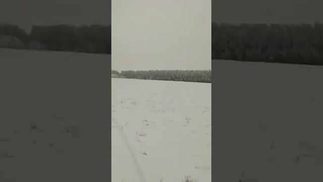 Чародейкою зимою околдован лес стоит смотреть онлайн