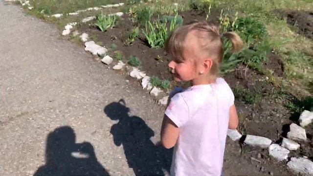 Цирк и Акробатика