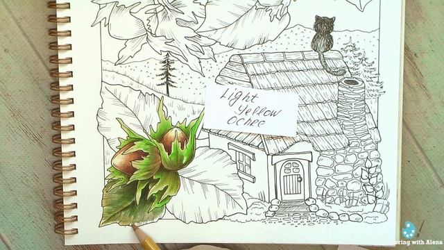 Hazel Cottage. Part 1 #Coloring in 'Chaloupkovánky' (Cottages) with Polychromos #adultcoloring смотреть онлайн