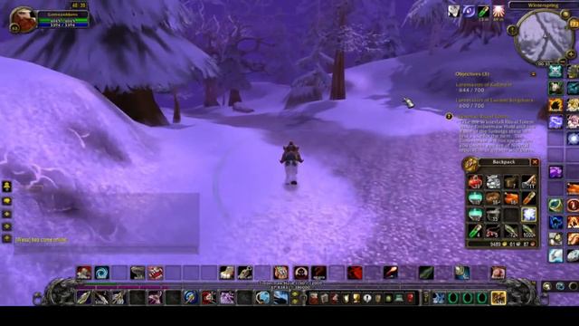 Winterfall Ritual Totem