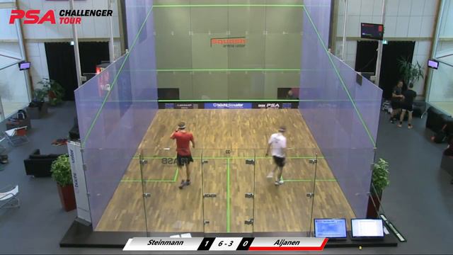 Swiss Open 2018 - Round 2 - Dimitri Steinmann vs Miko Aijanen смотреть онлайн