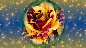 Футаж. Цветочный фон 135