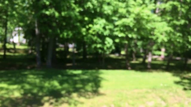 Ломоносов парк Ораниенбаум, гуляю с подружкой)))) 1часть. смотреть онлайн