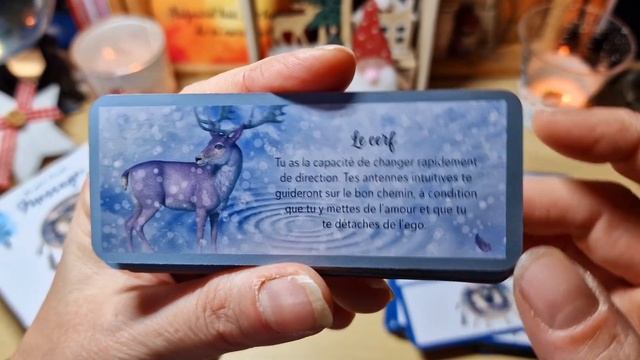 ? Le petit oracle messager de Frédérique Shine & tirage ? смотреть онлайн