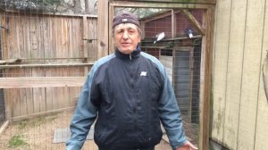 Николаевские голуби города Донецка