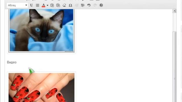 HTML редактор WordPress Курс по созданию сайта смотреть онлайн