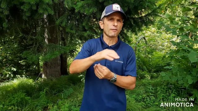 Медведь Гризли