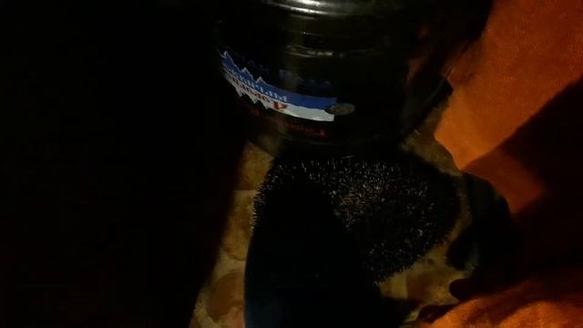 Злобный домашний еж страшно пыхтит смотреть онлайн