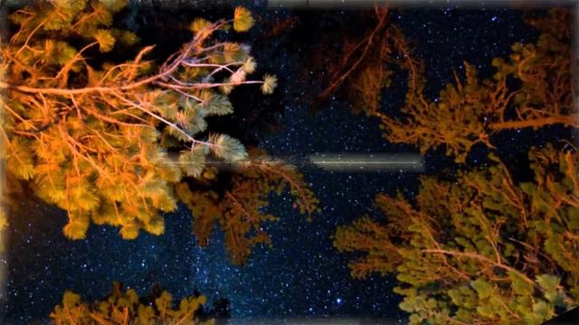 СОНЕТ смотреть онлайн