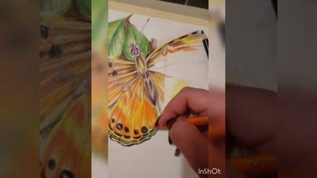 Бабочка ? смотреть онлайн