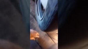 сальник колленвала дэу нексия