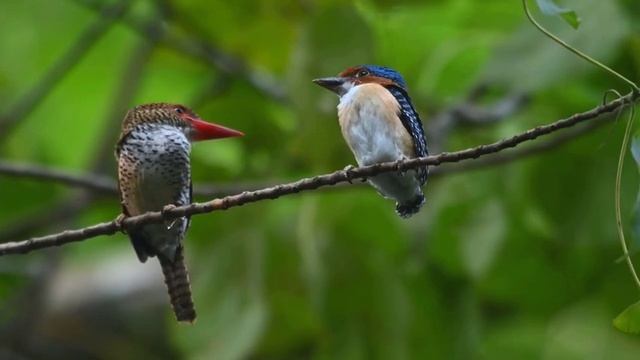 лучшая музыка? поможет снять усталость от стресса? успокоит нервную систему смотреть онлайн