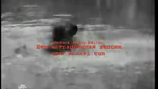 Морские дьяволы смерч: кот и мура смотреть онлайн