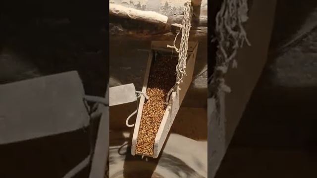 Водяная мельница ?️село.Сантлада Цумадинский район . турпоездки по Дагестану. 8-967-391-20-22 смотреть онлайн