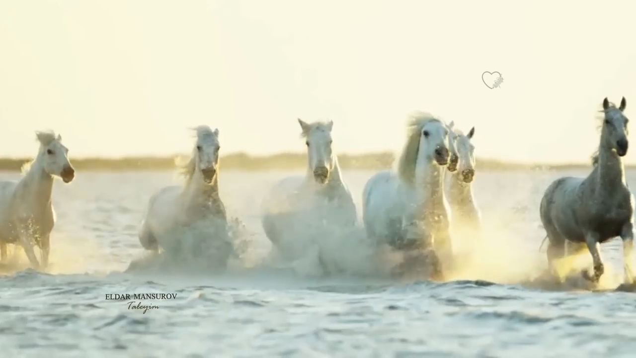 Eldar Mansurov - Taleyim_x264