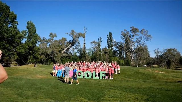 Herding 120 Tame Pink Cats. смотреть онлайн