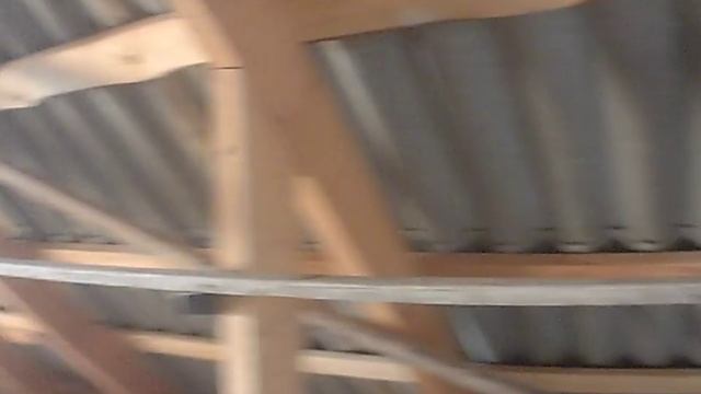 Голубятня . Голуби павлины. г. Измаил смотреть онлайн