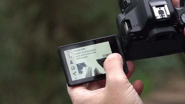TryMe OUT: Canon Eos 250D смотреть онлайн
