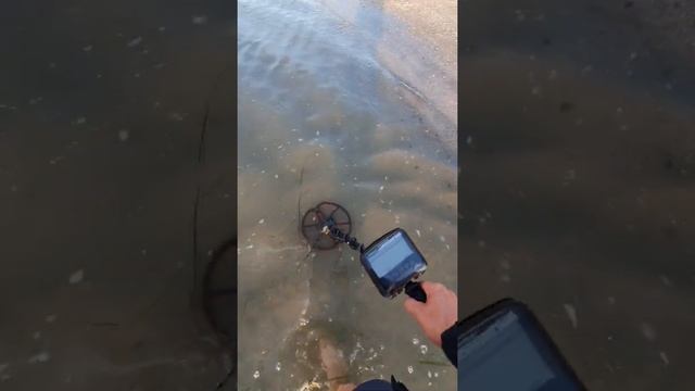 Garrett Apex. Стабильность Garrett Apex на морском пляже ?