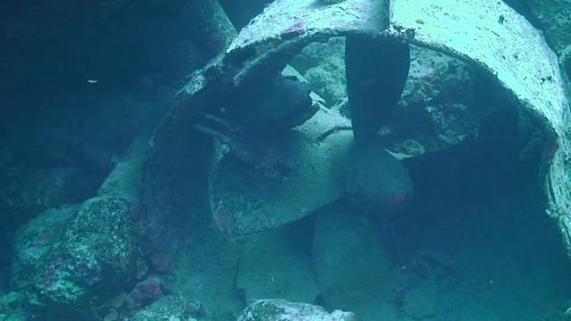 Diving смотреть онлайн