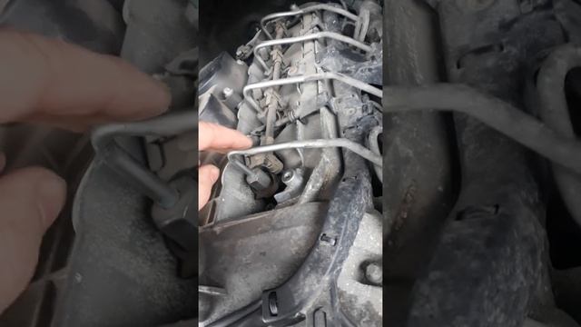 Как легко снять форсунки tdci Common Rail, Mercedes Sprinter 611,646,651- моторы смотреть онлайн