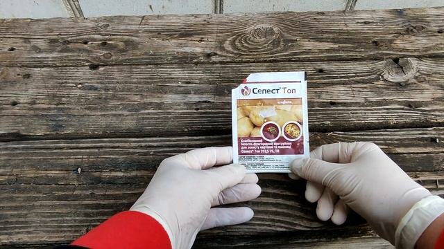 ??ЧЕМ ОБРАБОТАТЬ КЛУБНИ КАРТОФЕЛЯ ОТ ВРЕДИТЕЛЕЙ И БОЛЕЗНЕЙ ПЕРЕД ПОСАДКОЙ. СПРАШИВАЕТЕ - ОТВЕЧАЮ смотреть онлайн