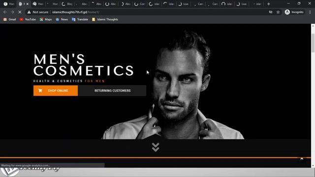 Online Business Website Builder : Create Website Using WordPress смотреть онлайн