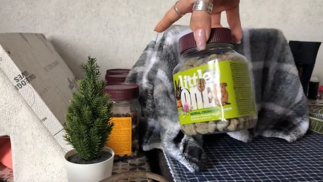 Лакомство для крыс ? смотреть онлайн