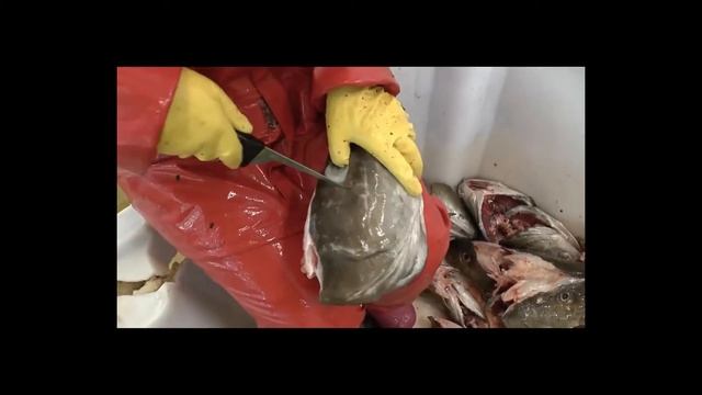 Детали чистоты