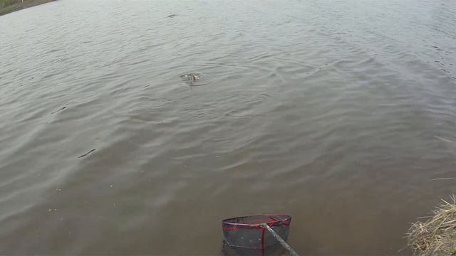 FILE0002 смотреть онлайн