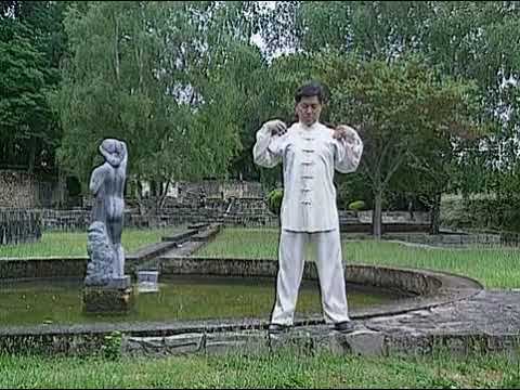 Уроки тайцзи с мастером Цзянь Лю Цзюнем (Jian Liujun) Ч1 Разминка смотреть онлайн