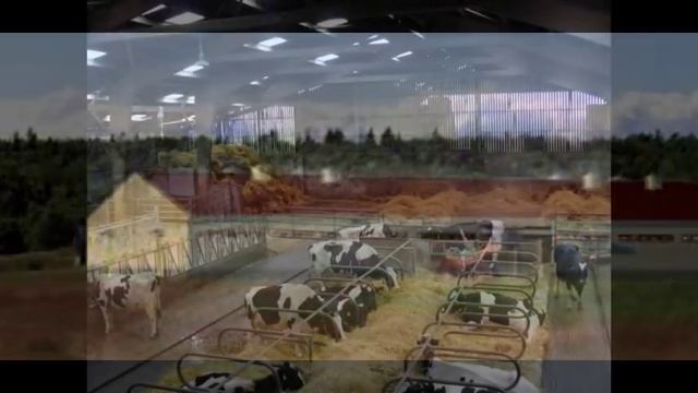 Строительство ангаров, склады, промышленные здания г.Охотск 8-999720-35-20 смотреть онлайн