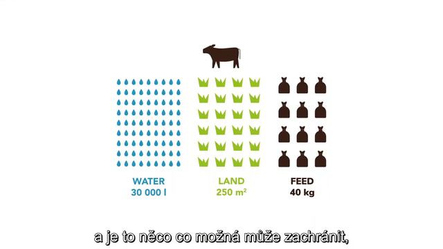 profesionální lezec Adam Ondra o Sens смотреть онлайн