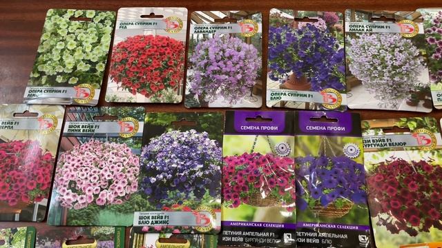 САМЫЕ ГИГАНТСКИЕ ПЕТУНИИ смотреть онлайн