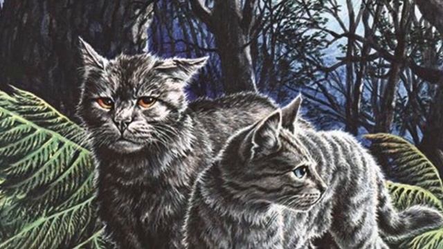 Факты о Крутобоке|«Коты-Воители» смотреть онлайн