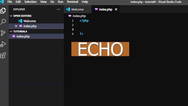 1. Echo Function in PHP - Php tutorial in hindi by Tutorial 4 смотреть онлайн
