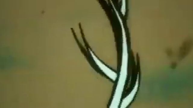 Gonzalo Yañez Dispara HQ смотреть онлайн