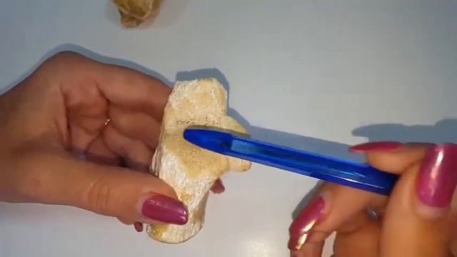 КОСТИ СТОПЫ: ПРЕДПЛЮСНА, ПЛЮСНЕВЫЕ И ФАЛАНГИ ПАЛЬЦЕВ смотреть онлайн