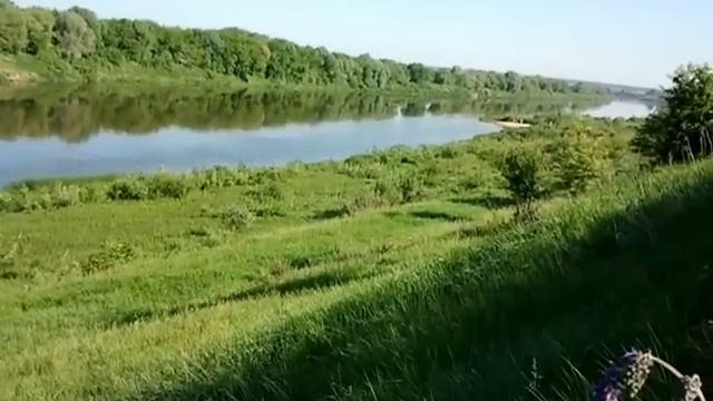 Видео0009.mp4 смотреть онлайн