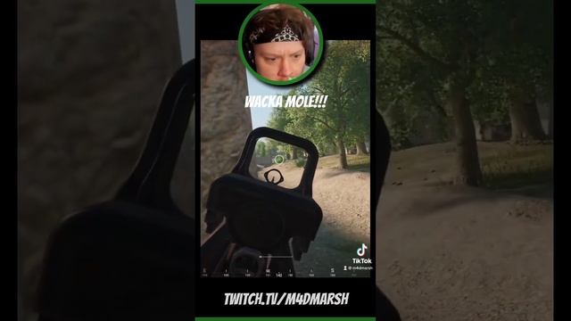 Playing WAKA MOLE with a squad!!! смотреть онлайн