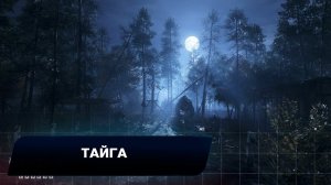 Metro Exodus - Тайга (Все страницы дневника Артёма и открытки)