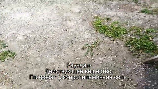 Гербицид шквал вк смотреть онлайн