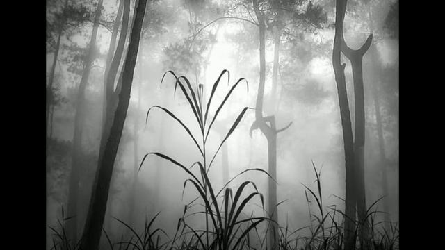 Hans Jonas смотреть онлайн