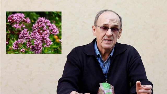 Интересные Факты и Загадки