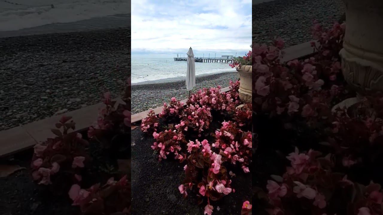 10.07.23 г. Погода Лазаревское #shorts #sochi #погодалазаревское #погодасочи смотреть онлайн