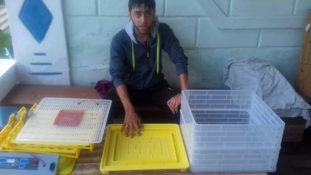 Китайский инкубатор Ответы на вопросы Подводим итоги смотреть онлайн