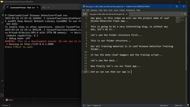 Leaf Disease Detection Flask App using Python - Advanced Python Project - with source code смотреть онлайн