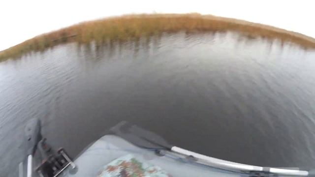 Джеркбейт на сломе сезонов.  #jerkbait#pike#volgaspintv#рыбалканащуку#осеннийжор #salmo